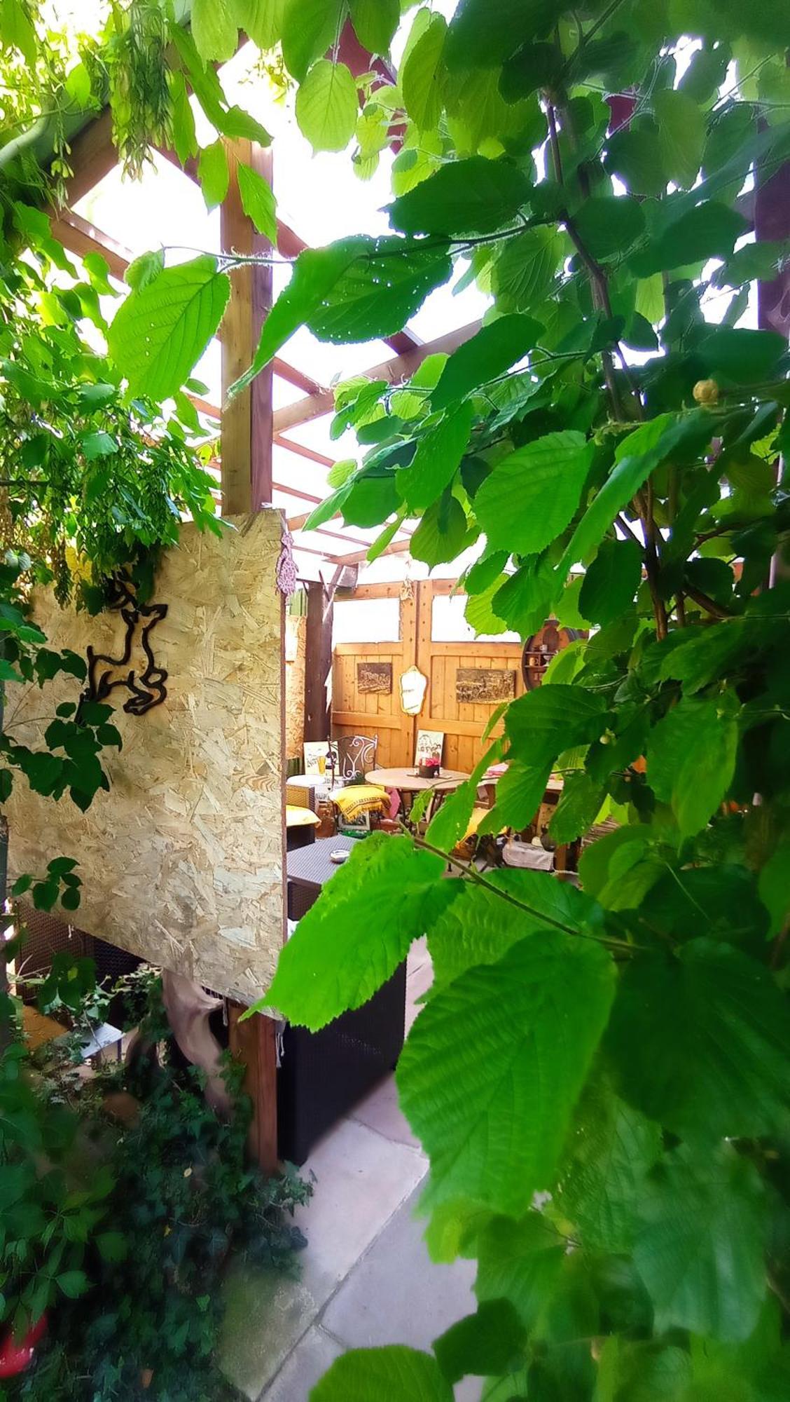 Garden Duplex Appartement Sundhoffen Buitenkant foto