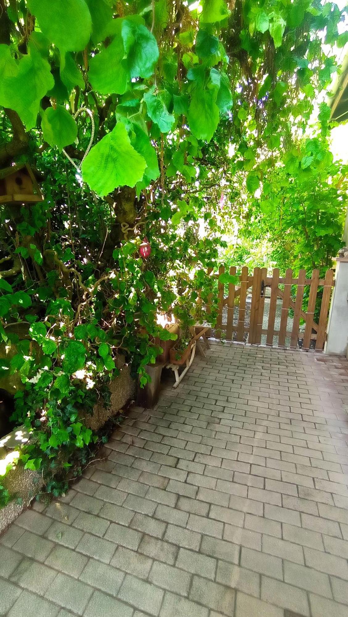 Garden Duplex Appartement Sundhoffen Buitenkant foto