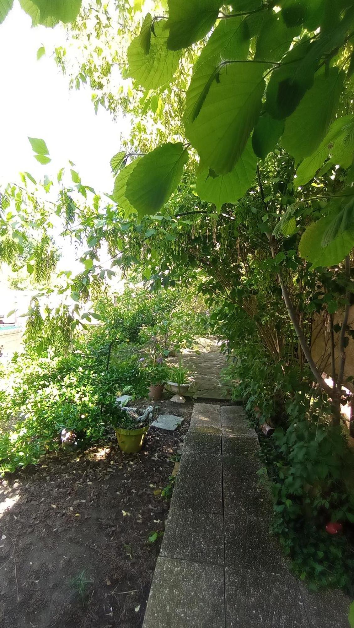 Garden Duplex Appartement Sundhoffen Buitenkant foto